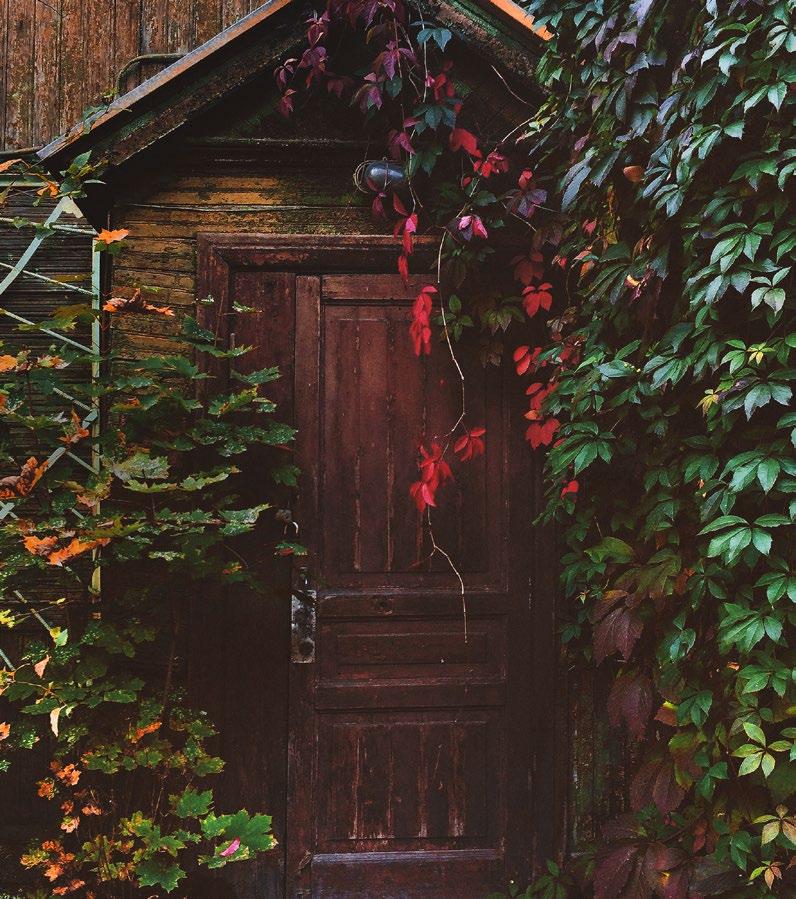 Farben SPIEL Hinaus in die Natur, hinaus in den Garten. Genießen Sie diese ganz besondere Jahreszeit, tanken Sie diese ganz besondere Herbstenergie.