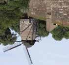 Juni 2019: Deutscher Mühlentag an der Windmühle Zons Freier Eintritt zur Besichtigung und kostenlose Mühlenführungen 5. und 6. Juli 2019: Operette Fledermaus auf der Freilichtbühne Zons 21.