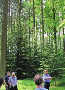 Programm der Forstvereinstagung von 1901 besucht und diskutiert.