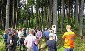 Erstaufforstungsflächen und Waldpädagogik im Zauberwald H10
