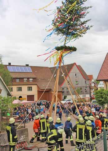 Zum kleinen Volksfest entwickelte sich das traditionelle Maibaumaufstellen mit der Feuerwehr und dem Posaunenchor in der Bösinger Ortsmitte.