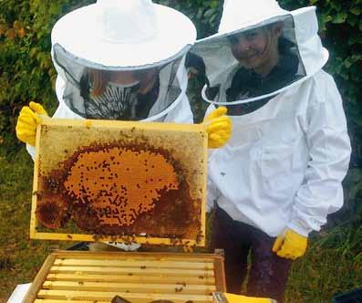 Am Flugloch H.Storch  2018 Imker,Imkerei,Bienen,Biene,bee,beehive,beekeeping 