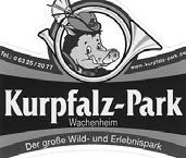 K.2.2.2 Kurpfalz-Park Wachenheim Kinder/Jugendliche Der Kurpfalz-Park bietet Wild- und Naturerlebnis, Spaß & Action! Kurpfalz-Park.de Wir können eine Wolfsshow und eine Greifvogel-Freiflugschau besuchen, Rotwild beobachten und den Wildschweinen beim fressen zu sehen.