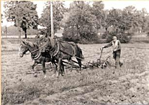 Bauer beim Pflügen (um 1930) Die Groß Köriser Bauern bauten vornehmlich Roggen an. Die schwere Arbeit, um im Sommer den Roggen ernten zu können, begann bereits mit dem Bestellen des Feldes.