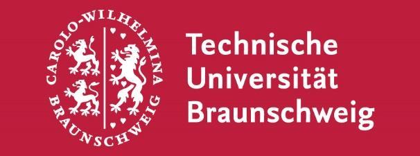Technische Universität Braunschweig Institut für Pädagogisches Psychologie