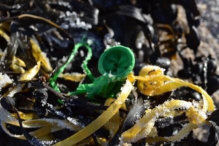Naturschutz Aktuell Beach Clean Up Gruppenfoto 2018 Foto: Niklas Bockhoff Auch auf Sylt zeigen sich erste zaghafte Veränderungen in Sachen Müllvermeidung.