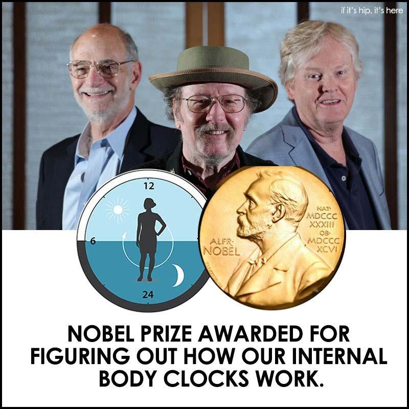 Nobelpreis für Physiologie oder Medizin 2017 Jeffrey C. Hall Michael Rosbash Michael W.