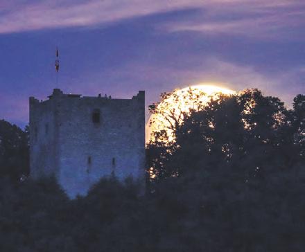 Muttenz Freitag, 26. Juli 2019 Nr. 30/31 7 Fotoreportage Mondfinsterniswanderung mit Fotostativ In der Nacht vom 16. auf den 17. Juli war ein tiefstehender Vollmond zu sehen.