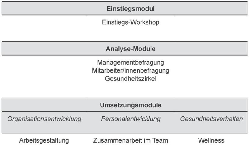 8 Abbildung 8.4 Netzwerke und betriebliche Beispiele Die zehn BGF-Module von KMU-vital (aus Kündig, 2004, S.
