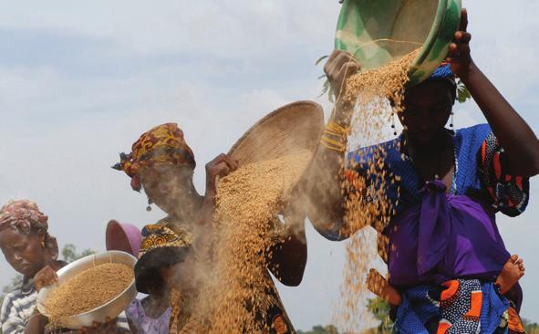 Politischer Druck wird kreativ genutzt die CAADP-Dynamik In beiden Ländern entstand jedoch im Laufe der Zeit ein politischer Druck, der abgesehen von der schwierigen wirtschaftlichen Lage im