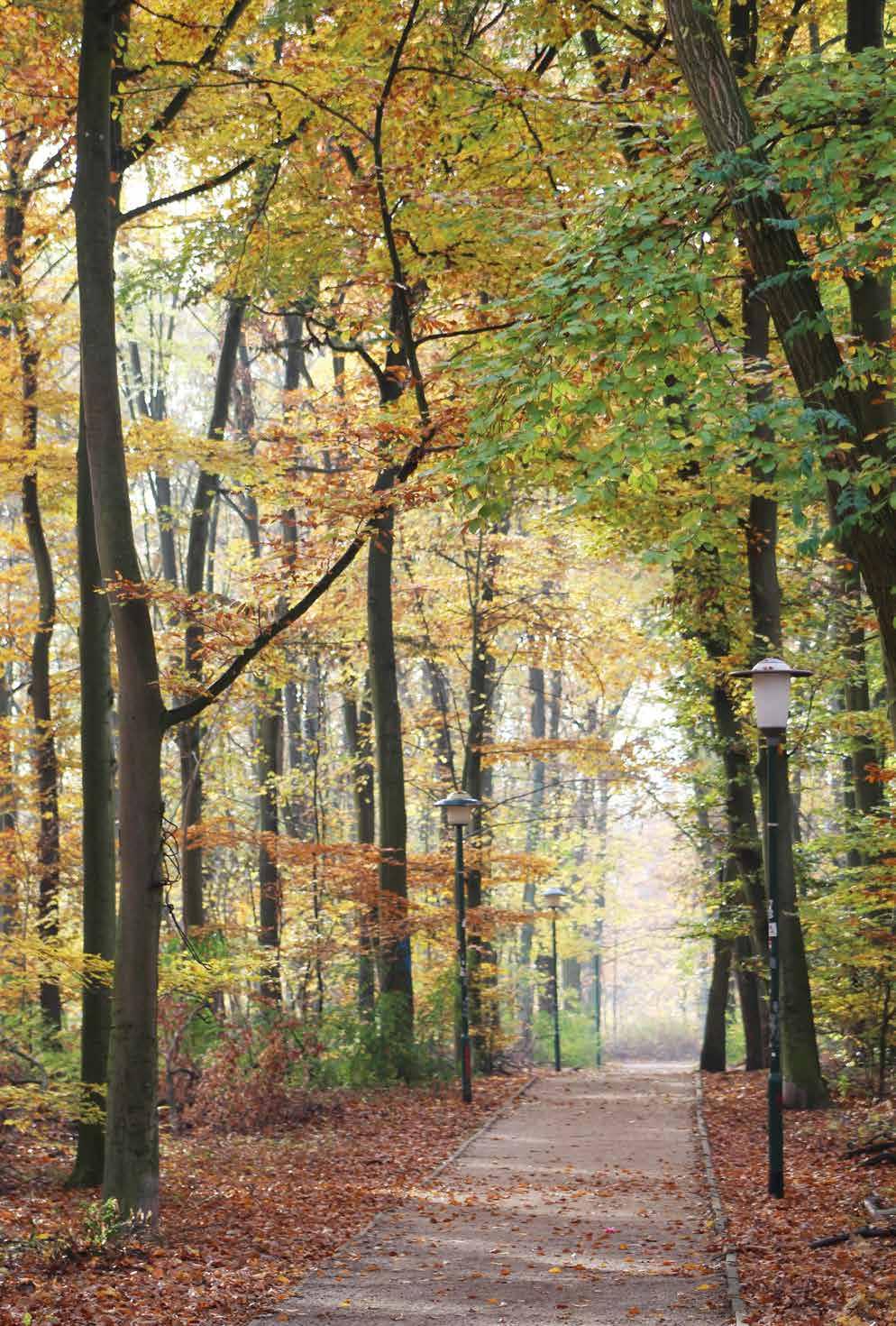 Überall in der Welt bricht so manches auseinander. Nur bei uns nicht: da bricht lediglich so manches zusammen. (E.