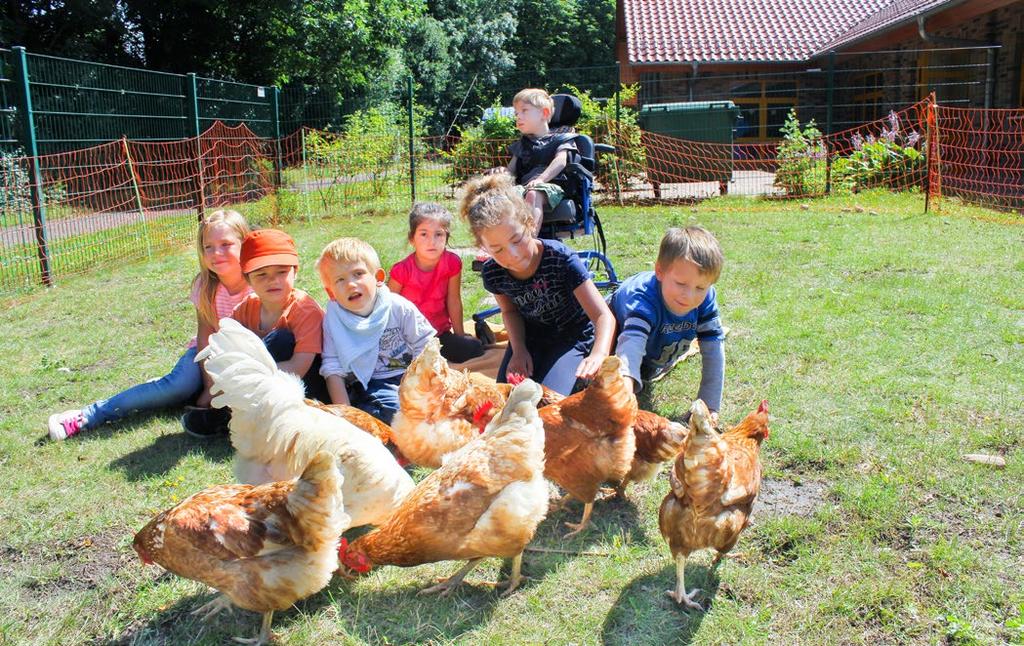 28 Kooperative Kindertagesstätte Huhn oder Ei? Wir haben viel über Hühner erfahren (v.li.): Carlotta, Armando, Jarno, Melissa, Zoey, Mats und Sam im mobilen Hühnerstall.