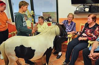 Mit Ponys ins Pflegeheim Schüler der Europaschule sorgten für tierischen Besuch in der Pommern