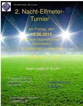 innovative Energiesysteme und Klimaschutzstrategien Abteilung Faustball TSV Malmsheim 1903 e.v. Freitag: 26. Juni 2015 Beginn: 19.