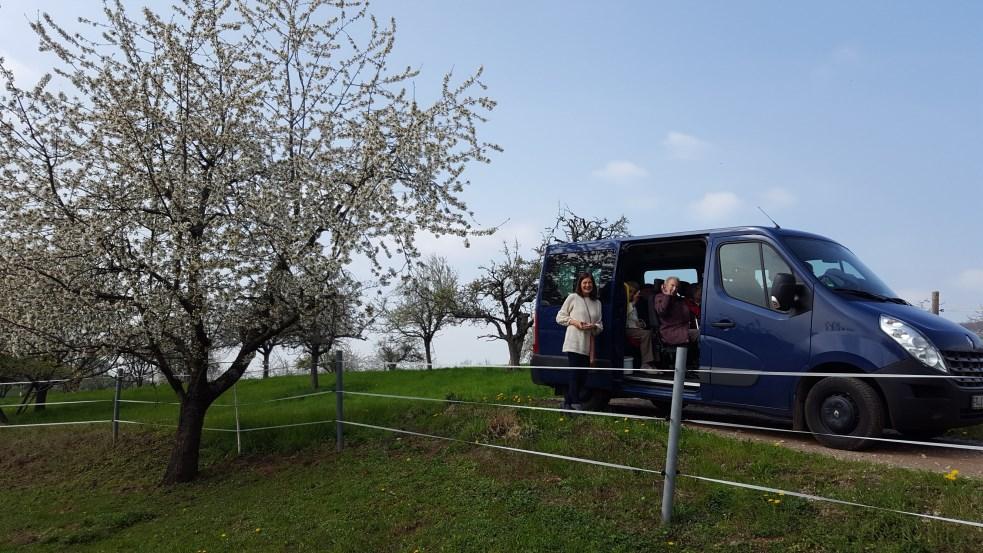 Rückblick Unser Blatt Seite 17 mit dem Haus Bus zur den alljährlichen Kirschblüten Fahrten ins Eggenertal und zu