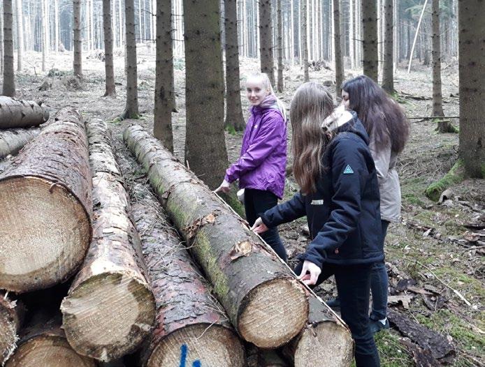 Berichte regional Girls`Day Frauenpower im Wald Auch wir beteiligten uns wieder an dem Projekt, bei
