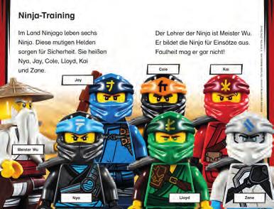Mit Ninja-Power Spitzentitel ins Leseabenteuer 6 + SUPERLESER! LEGO NINJAGO So wirst du ein Ninja Sach-Geschichten für Leseanfänger, 1.