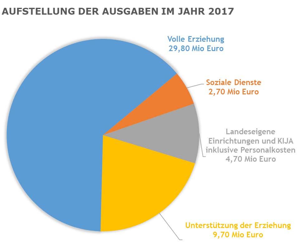 Abbildung 1: Aufstellung der Ausgaben im Jahr 2017 Die Einnahmen der