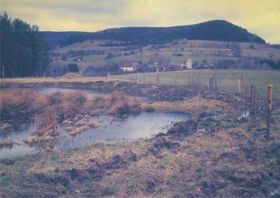 Mai 1987 Pflanzung von Wildapfelbäumen, deren Früchte der BNAN im Kleinen Lautertal gesammelt hat und die die Forstliche Versuchsanstalt gezogen hat, am Grünenberg, Gostal, Galgenberg,