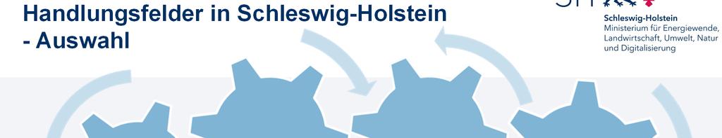 Handlungsfelder in Schleswig-Holstein -