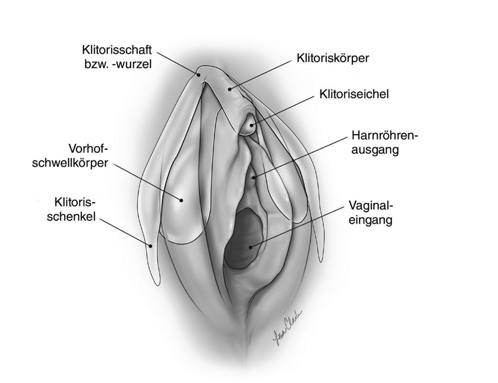 Drüse ausdrücken bartholinische Knubbel oder