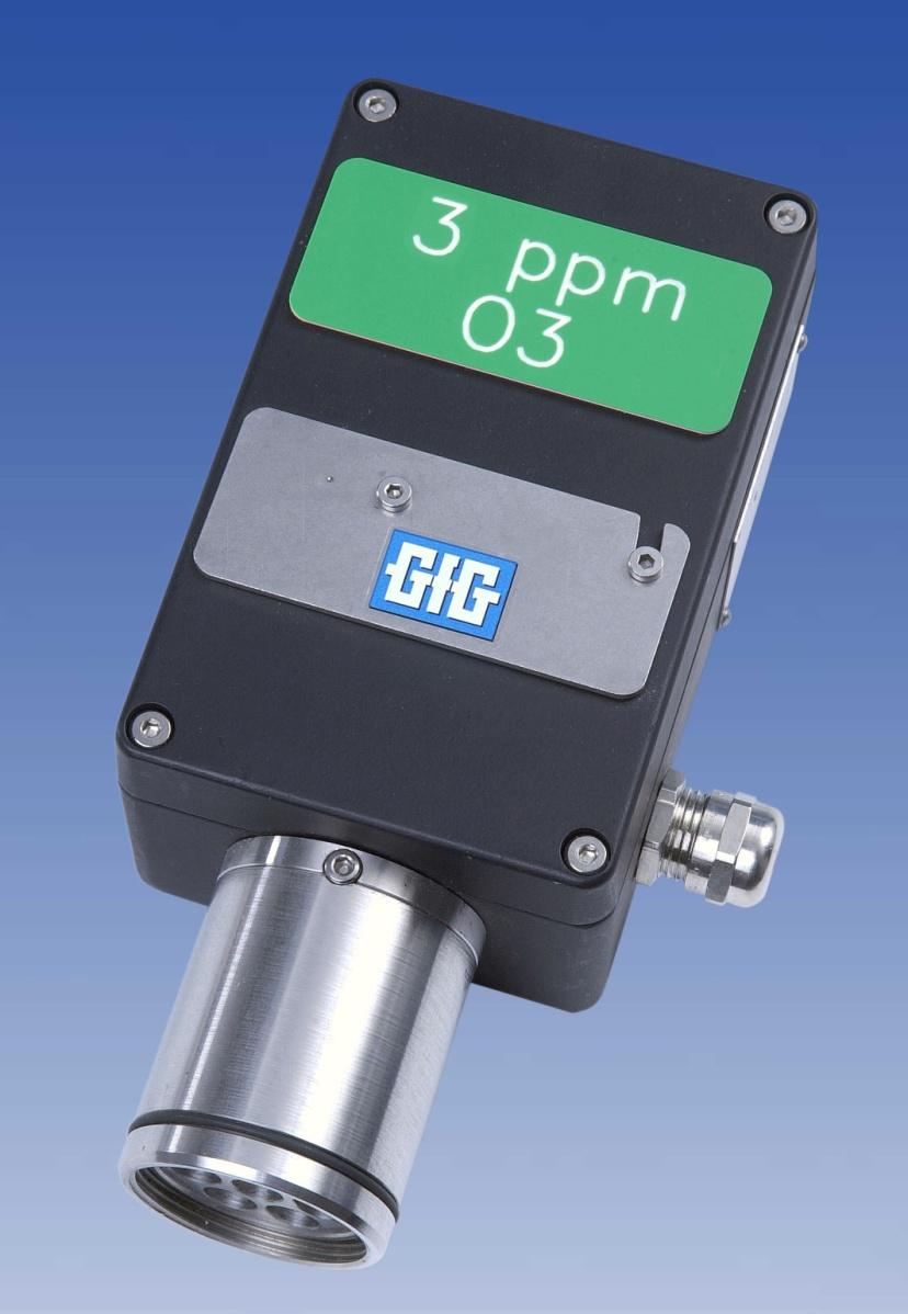 Gaswarn-/messgerät, für H2S/CO/O2/brennbare Gase, GIG, Microtector II G460