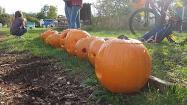 KÜRBISFEST Auch dieses Jahr wollen wir auf der Kinder- und Jugendfarm aus Kürbissen schaurige Halloween-Monster schnitzen. Zum Verzieren unserer Gruselköpfe können wir Nägel,Hölzer, Steine etc.
