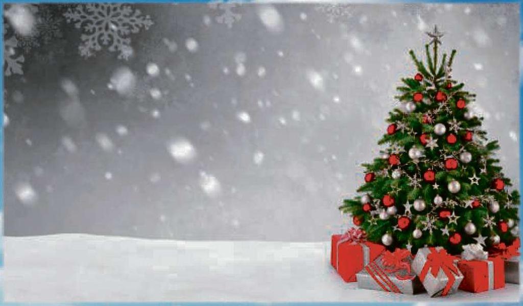Die ersten Weihnachtsbäume, die den heutigen Modellen relativ nahekommen, sind erstmalig im 16. Jahrhundert dokumentiert worden. Mit der Geburt Christi steht das aber in keinerlei Verbindung.