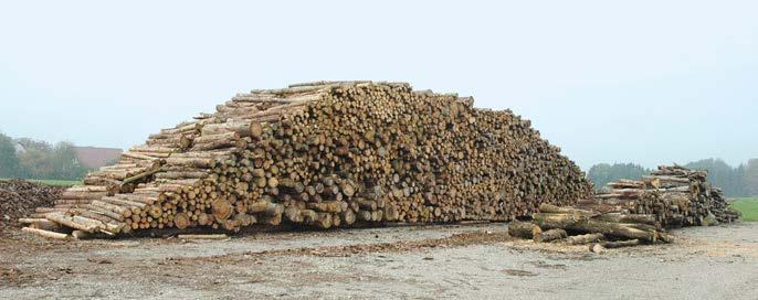 Forstwirtschaftliche Lohnunternehmen Noch keine Entscheidung im Rundholz- Kartellverfahren Im sogenannten Rundholz-Kartellverfahren, bei dem der Kartellsenat des Bundesgerichtshofs (BGH) über eine