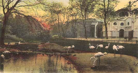 Die Landesgruppe HH/S-H der DGfG zwischen 1906 und 1945 Abbildung 29: Zoologischer Garten Hamburg, Flamingoteich und Straußenhaus, um 1905 aller anderen aus Berlin stammenden Vorstandsmitglieder des
