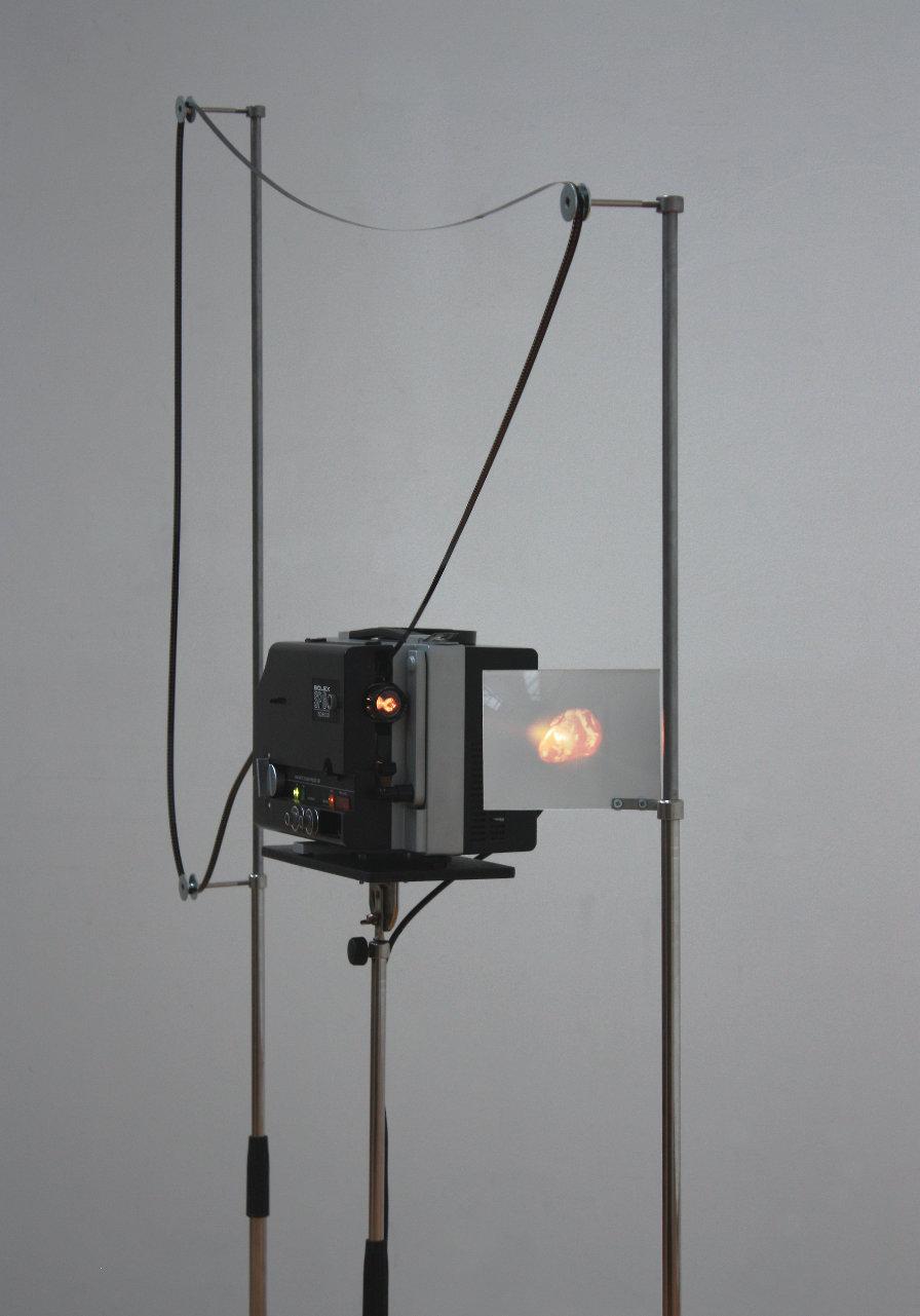 HERZ 2006 Super8-Projektion, Loop-Installation (Kleinbasler Kunstpreis, Ausstellungsraum Klingental) Videolink "Der Takt des Super8-Projektors setzt sich in ein Verhältnis zum vitalen Phänomen des