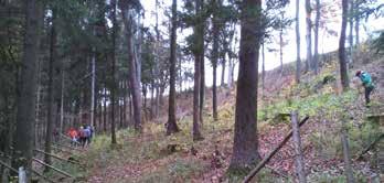 Durch die inhaltliche Vorbereitung und Durchführung der konkreten Baumpflanzaktion wurde zudem ein Verständniszugang zum heimischen Ökosystem Wald hergestellt.