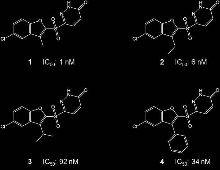 Abb. 11. Strukturformeln von vier potenten Pyridazinon-Inhibitoren der AR. Die angegebenen IC 50 - Werte stammen aus der Publikation von Mylari et al. von 2005. 162 M.