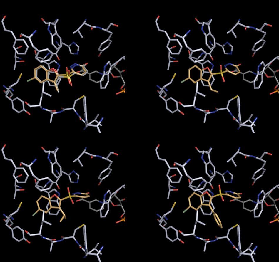 Abb. 14. Dockinglösungen der vier Pyridazinon-Inhibitoren innerhalb der Bindetasche der Proteinstruktur 1Z89.