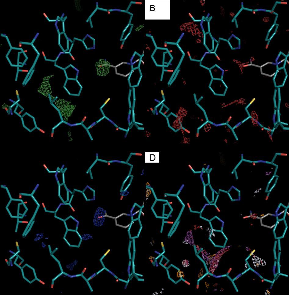 positionen der Liganden überein und erklären, warum eine Vielzahl bekannter AR-Inhibitoren über mindestens ein Halogenatom verfügt. Abb. 19.