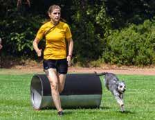 Vorbereitung reichlich Maßnahmen getroffen, um für die Sportler und ihre Hunde, beste Rahmenbedingungen zu schaffen: Reichlich Schattenparkplätze in der Nähe der Sportstätte, ausreichend Wasser für