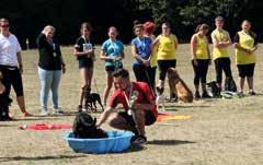 In den Sportarten Agility, Obedience, Rally Obedience sowie Turnierhundsport gingen insgesamt 46 Jugendliche an den Start, leider nicht so viele, wie es die Veranstaltung verdient hätte.