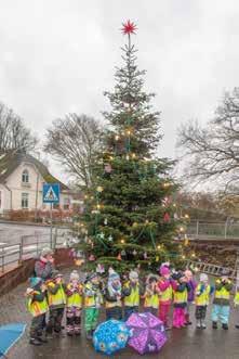 GEMEINDELEBEN Alle Jahre wieder Auch im letztem Jahr stellte der Kultur-und Verschönerungsverein Flintbek auf dem Grundstück der Familie Nebel einen ca. sieben Meter hohen Weihnachtsbaum auf.