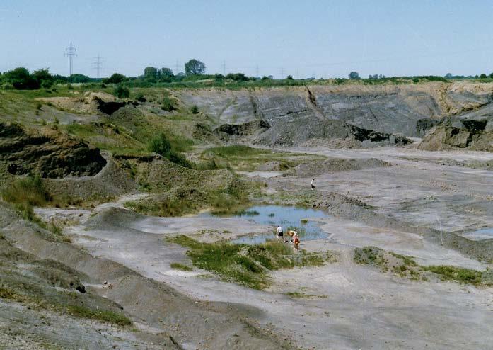 8: Ansicht der Grube mit Ziegelei 1983, Foto Schubert Abb.