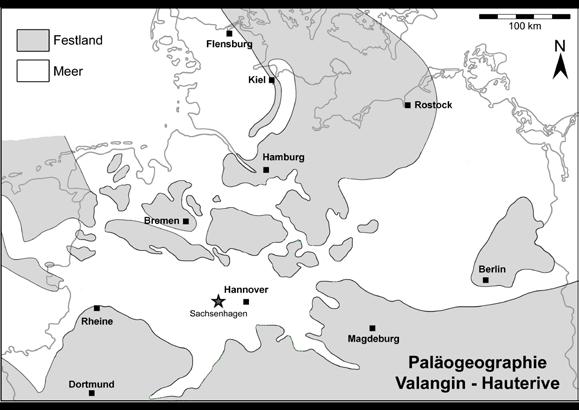 MUTTERLOSE, J. In ARBEITSKREIS PALÄONTOLOGIE HANNOVER 45 (2017), 2 7 5 flüsse, die dann im frühesten Valangin mit einem Wechsel zu voll marinen Bedingungen dokumentiert sind.