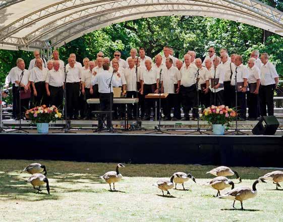 Auch den Kanadagänsen gefiel der Auftritt des Hochdahler Männergesangvereins 1909 beim Chorfest des Chorverbandes Düsseldorf.
