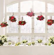 Tafel regelrecht erstrahlen. Als sinnlicher Kontrast dazu dienen rote Poinsettien, die wie von Zauberhand kopfüber in sogenannten Sky Plantern von der Decke hängen.