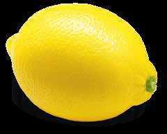 8 9 Es ist nicht von großer Wichtigkeit die eine Zitrone von der anderen unterscheiden zu können, wenngleich es schön sein kann, sich auch in solche Details zu vertiefen.