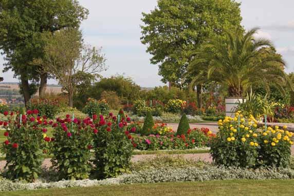 Die Dahlienaufpflanzung im Park Belvedere Vorplatzes mit Schlossfontäne, um den sich die symmetrisch angelegten Kavaliershäuser gruppieren.