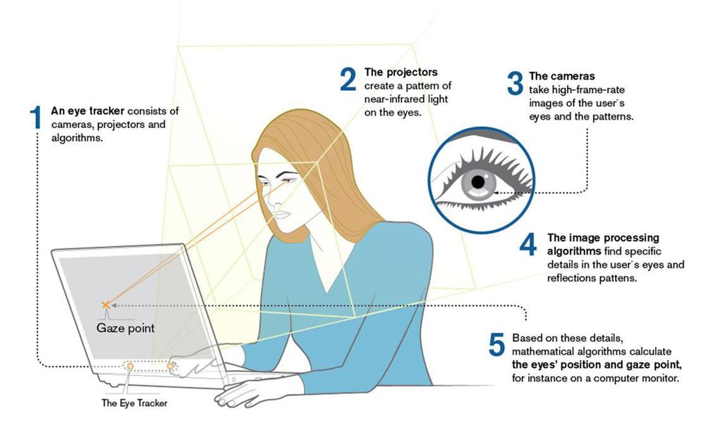 Eye-Tracking Forschung: Die Bindungsmuster und das Blickverhalten 39 Abb. 5: tobii:
