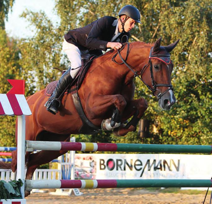 Seit Jahren lockt das Volkmaroder Herbstturnier, das sich mittlerweile zu den größten und bekanntesten Turnieren in der Region Braunschweig entwickelt hat, Pferdesportler aus Nah und Fern am 3.