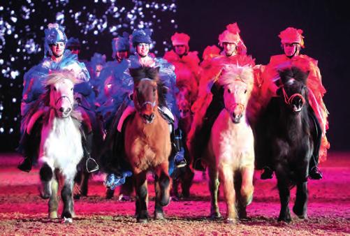 2017 dürfen sich die Pferdehalter, Reiter und Züchter wieder auf geballtes Fachwissen, Live-Demonstrationen, spannenden Reitsport bis zur schweren Klasse, eine Vielzahl von Shows und natürlich ein