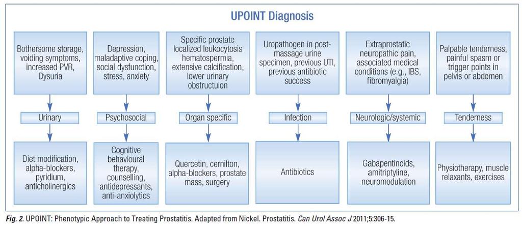 BNO – Az urogenitális rendszer megbetegedései, Prostatitis glomerulonephritis