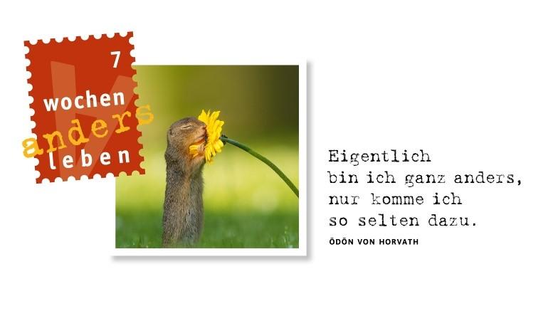 Unter fachmännischer Anleitung möchten wir die Kniffs und Tricks des Backhandwerks erlernen. Anmeldungen unter 0160/7060353, 0231/283249 oder kolping-husen@web.de. Unkostenbeitrag 3 je Erwachsener.