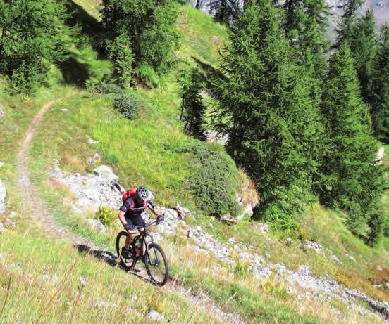 Mountainbike Krone der Provence Trilogie Tour-Nr.: MTB 2019-07 vom 31.08. 09.